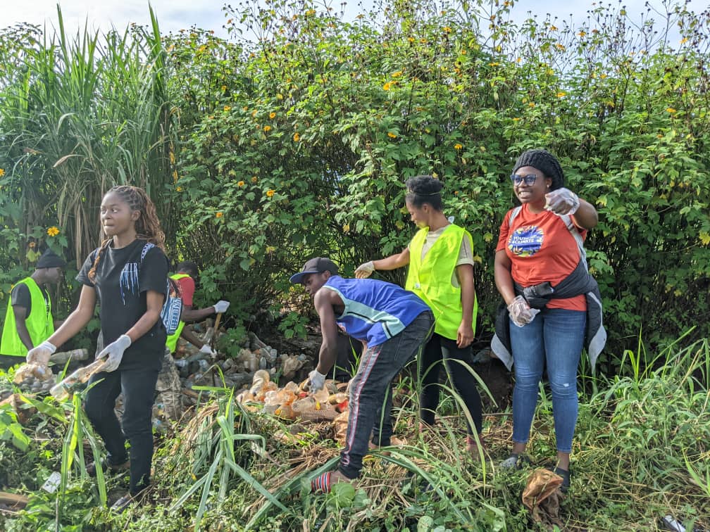 Combating Plastic Pollution
